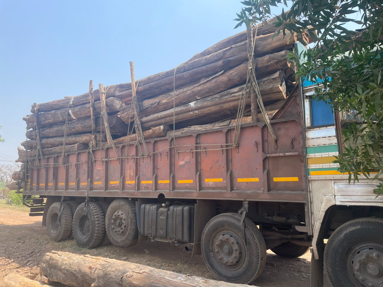 Numbered and categorized teak logs for quality tracking